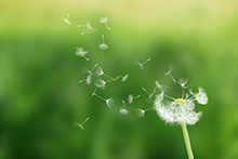  »Achtsame Fotografie« (Knipsakademie)