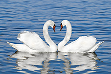  »Achtsame Fotografie« (Knipsakademie)